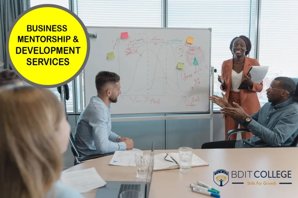 Business Mentorship & Development